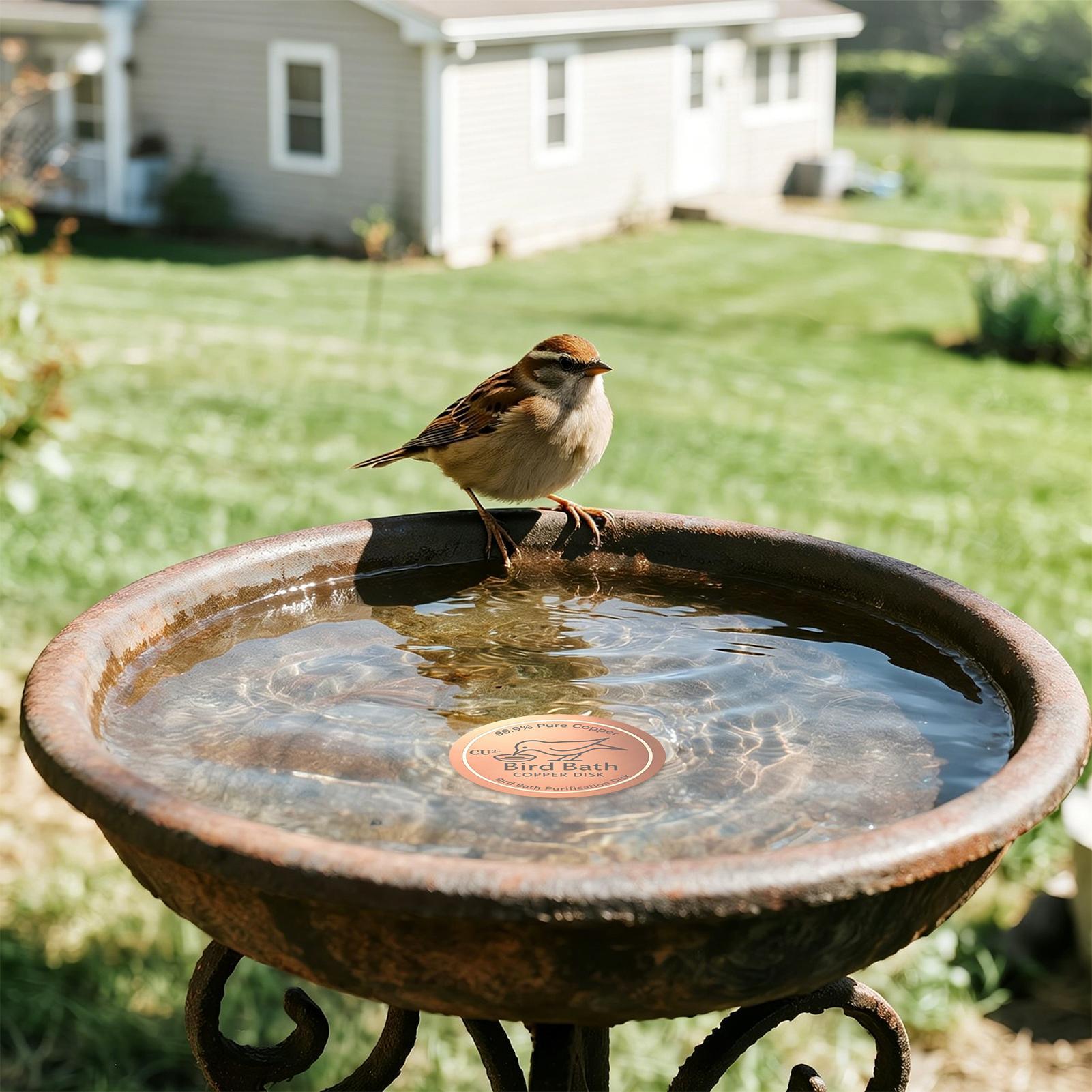 Farming & Agriculture Word Stacks - Bird Bath Copper Disk 0.6mm Thick