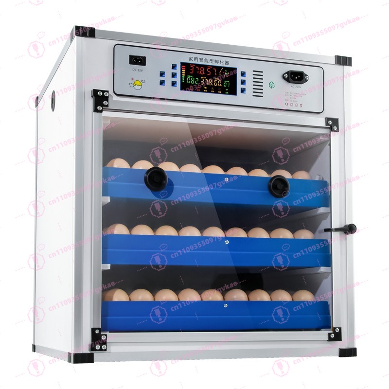 Quail Egg Incubator - Portable Household Egg Incubator Small Hatcher