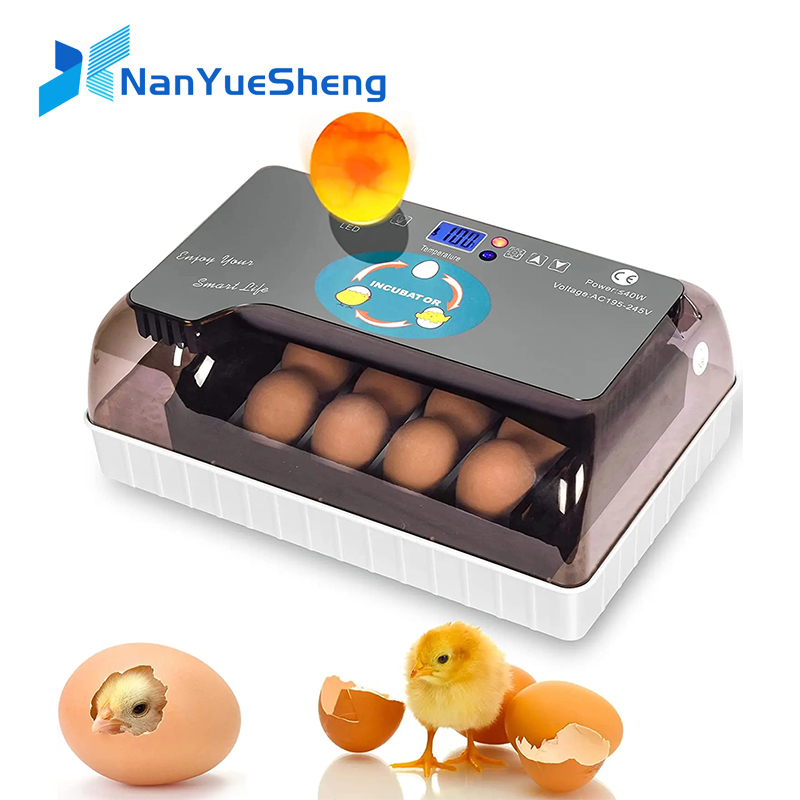 Quail Egg Incubator - Automatic HHD Best Digital 12 Chick