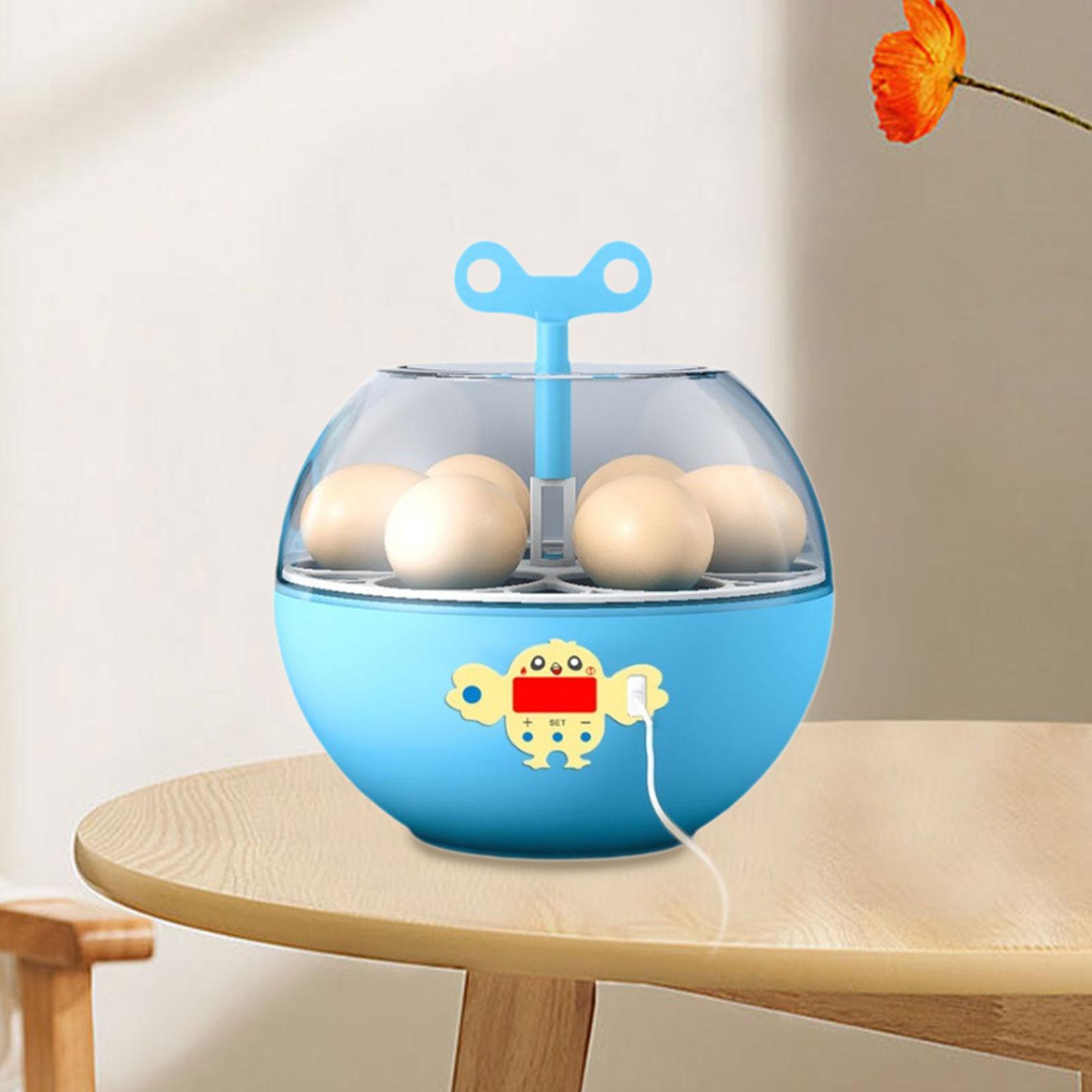 Quail Egg Incubator - 6 Eggs Incubator Mini Visible Incubator