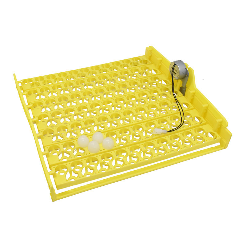 Quail Egg Incubator - 154 eggs quail brooding tools Quail