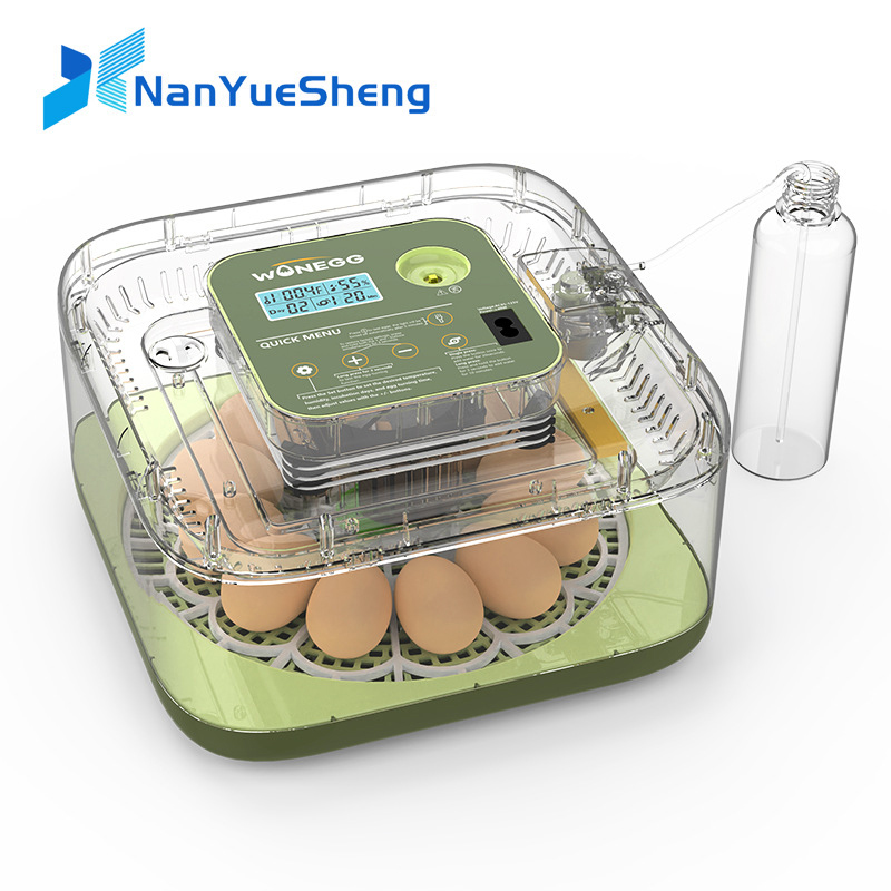 Quail Egg Incubator - New 12 Chick egg Hatchery machine