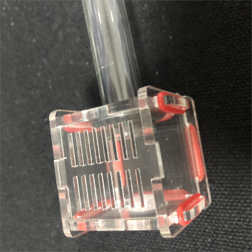 New Mini 1pcs Glass Tubes Ant  - Farming Zone ulasan dan harga