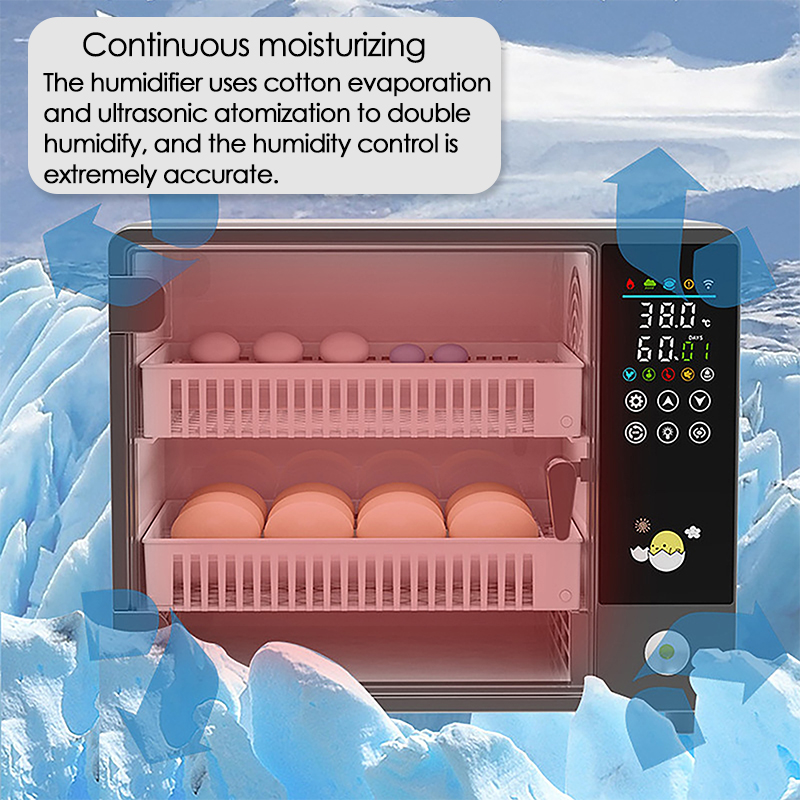 24 Eggs Full Automatic Turning - Quail Egg Incubator ulasan dan harga