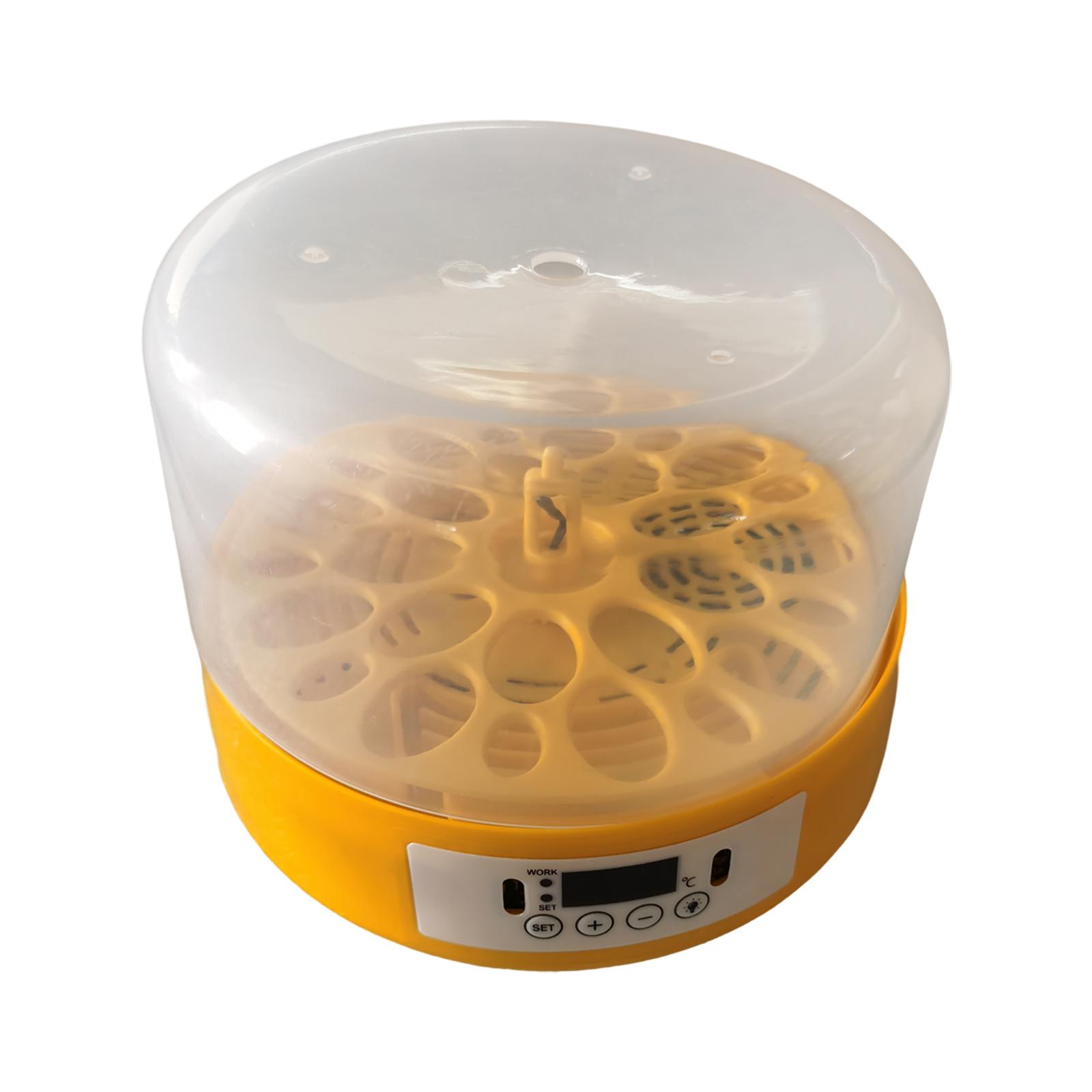 Egg Incubator Egg Turner Egg H - Quail Egg Incubator ulasan dan harga