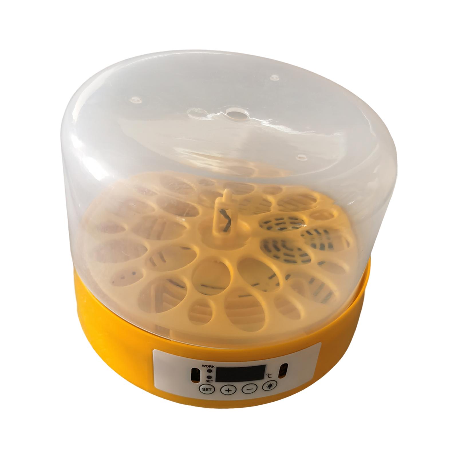Egg Incubator Egg Turner Egg H - Quail Egg Incubator ulasan dan harga