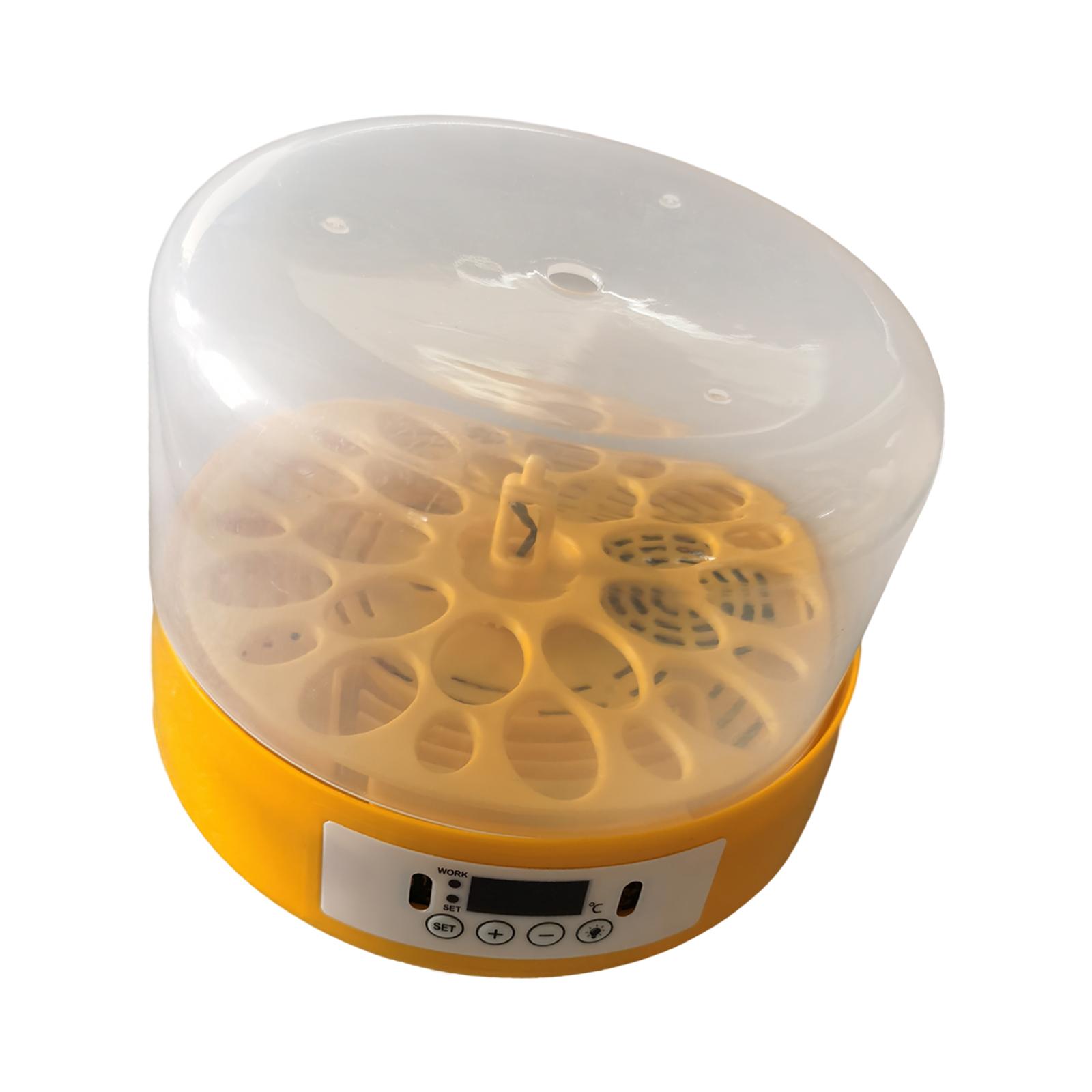 Egg Incubator Egg Turner Egg H - Quail Egg Incubator ulasan dan harga