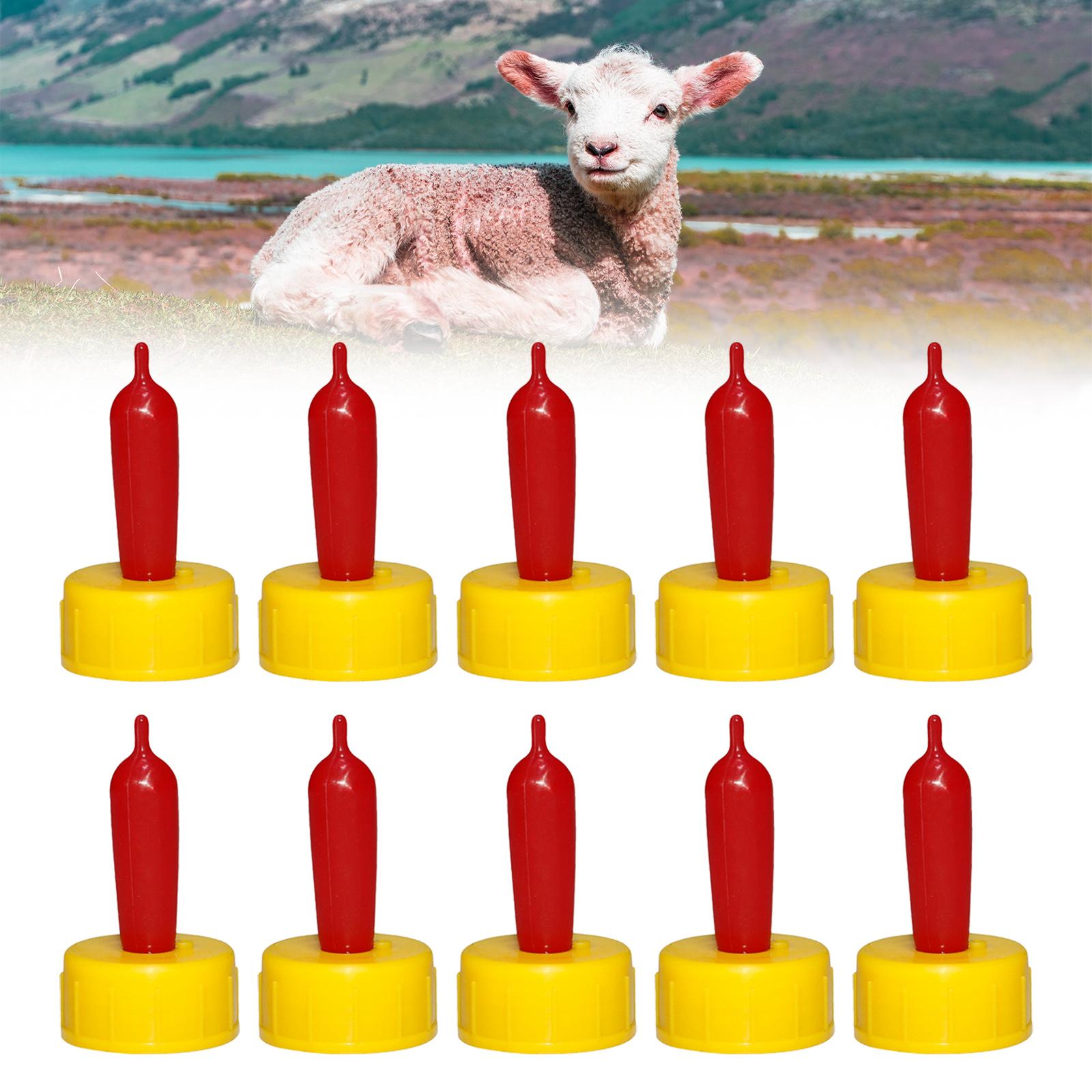 Soft Rubber Nipple Drinker for - Agriculture Goat Farming ulasan dan harga