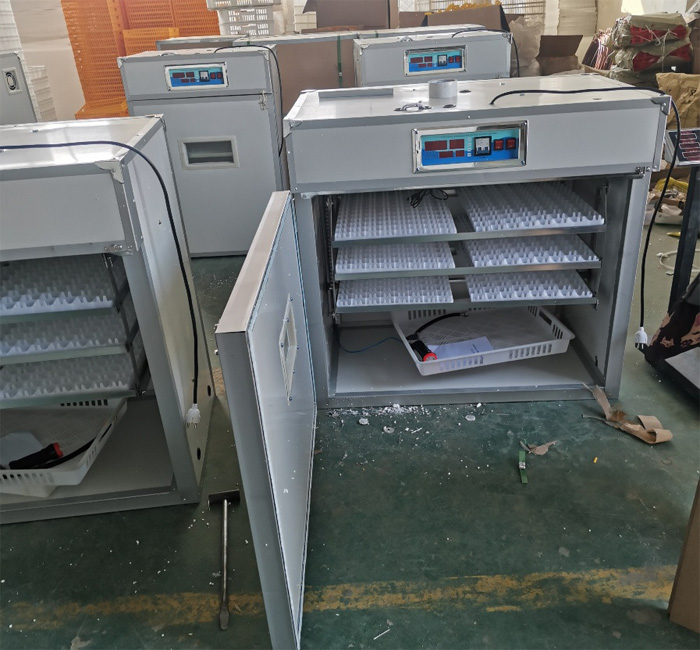 Controller for Fully Automatic - Quail Egg Incubator ulasan dan harga