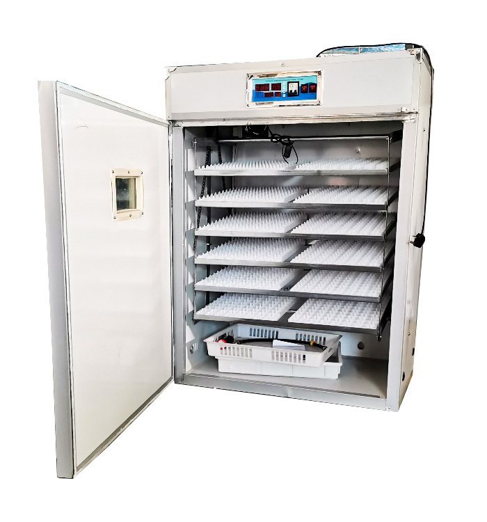 Controller for Fully Automatic - Quail Egg Incubator ulasan dan harga