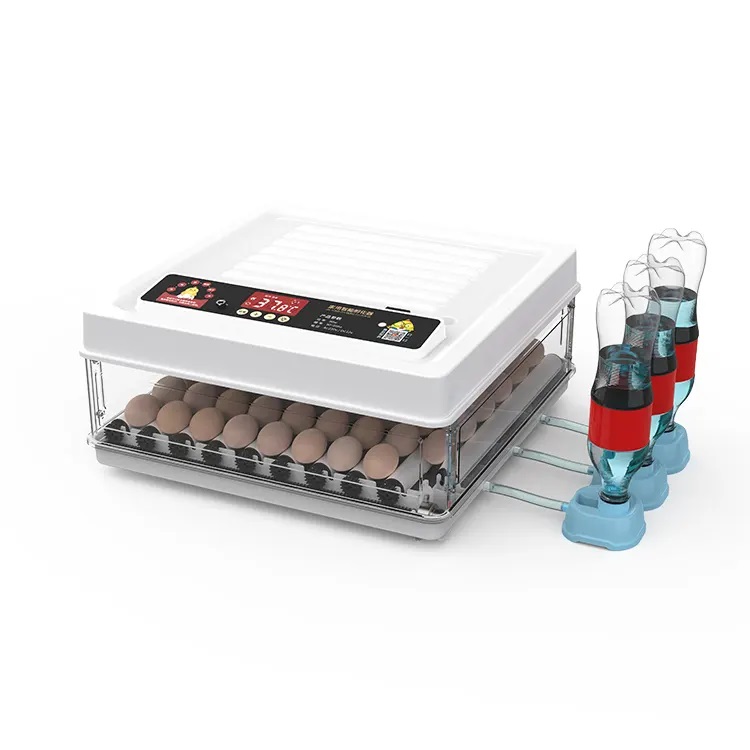 Fully Automatic 130 Capacity E - Quail Egg Incubator ulasan dan harga
