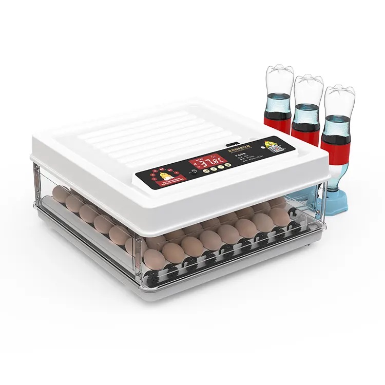 Fully Automatic 130 Capacity E - Quail Egg Incubator ulasan dan harga