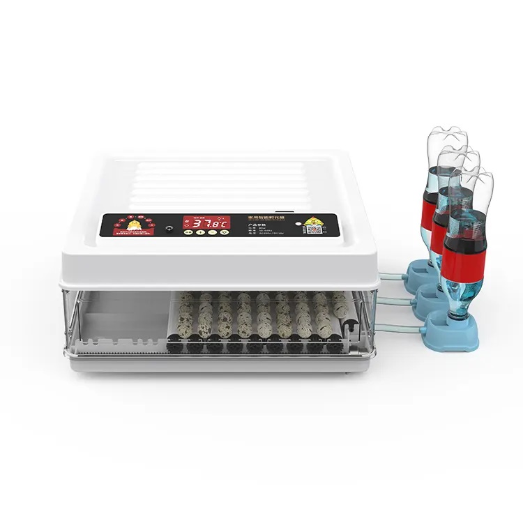 Fully Automatic 130 Capacity E - Quail Egg Incubator ulasan dan harga