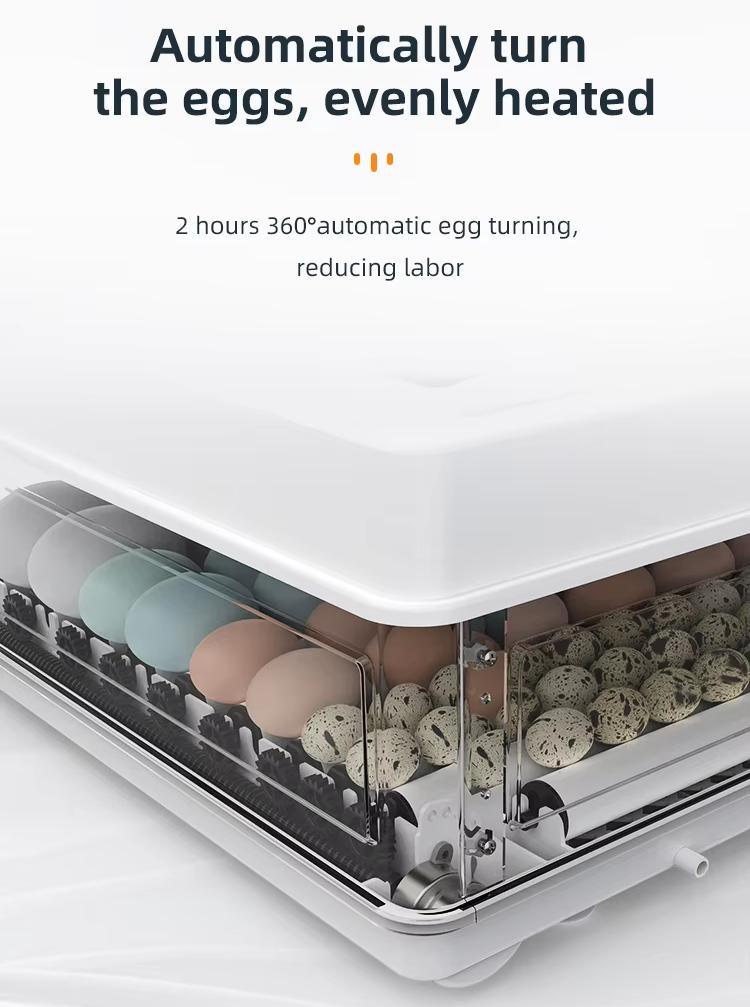 Fully Automatic 130 Capacity E - Quail Egg Incubator ulasan dan harga