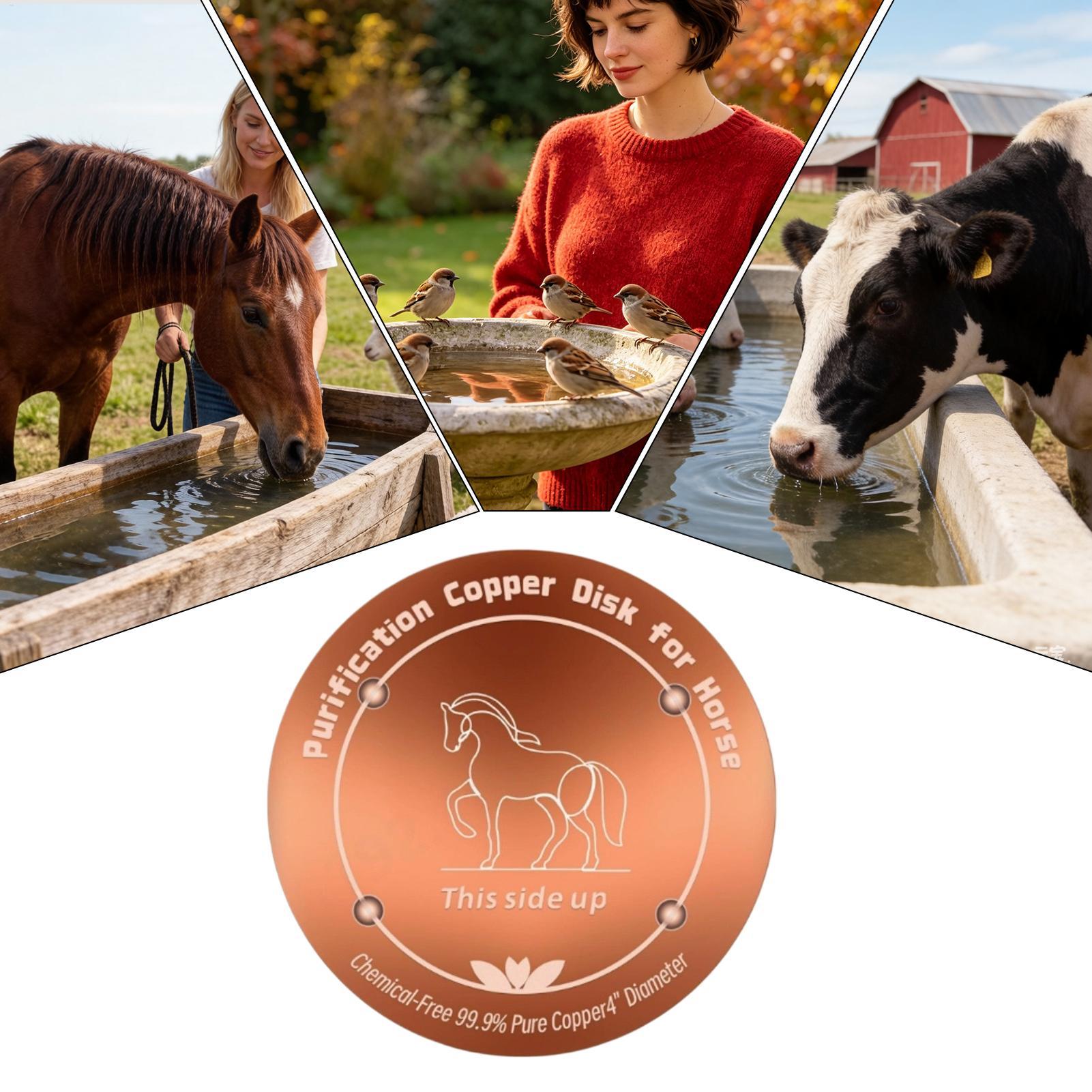 4 Inch Copper Purifier Cow Wat - Farming & Agriculture Word Stacks ulasan dan harga