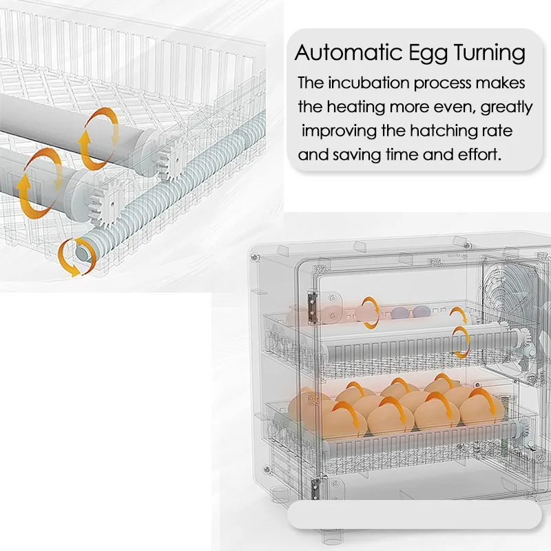 24 Eggs Incubator Fully Automa - Quail Egg Incubator ulasan dan harga