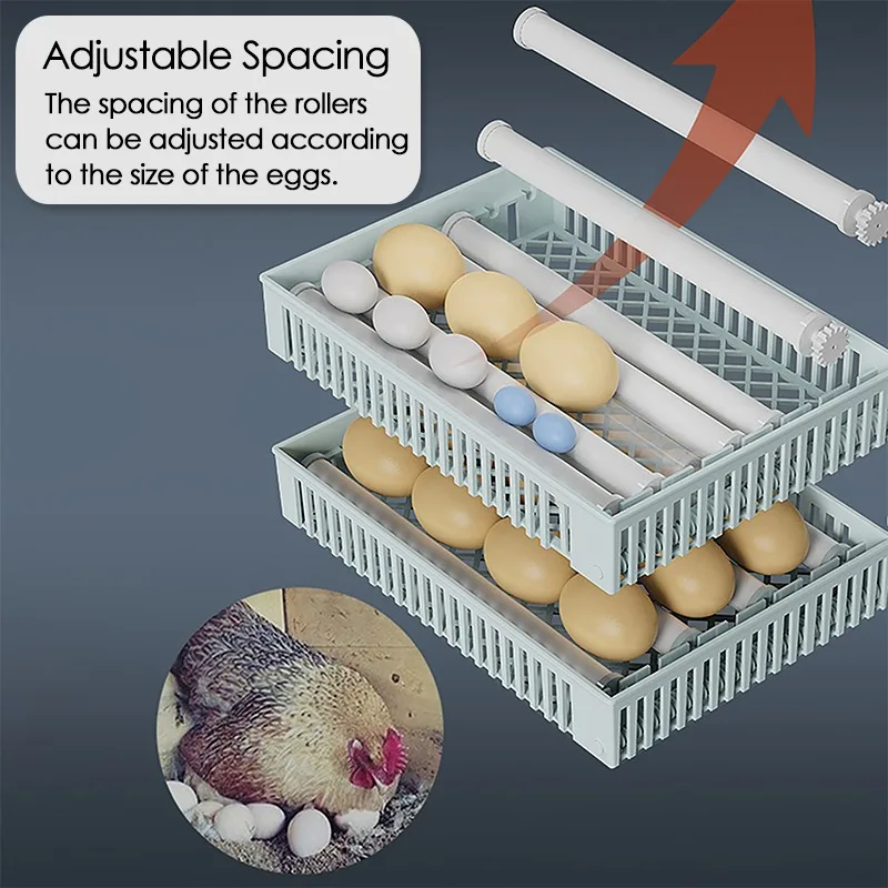 24 Eggs Incubator Fully Automa - Quail Egg Incubator ulasan dan harga