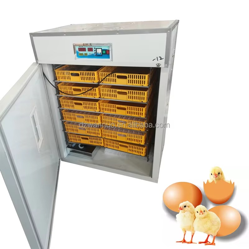Wholesale New Full-automatic I - Quail Egg Incubator ulasan dan harga