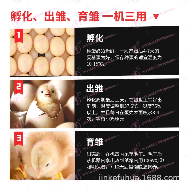 Portable Household Egg Incubat - Quail Egg Incubator ulasan dan harga