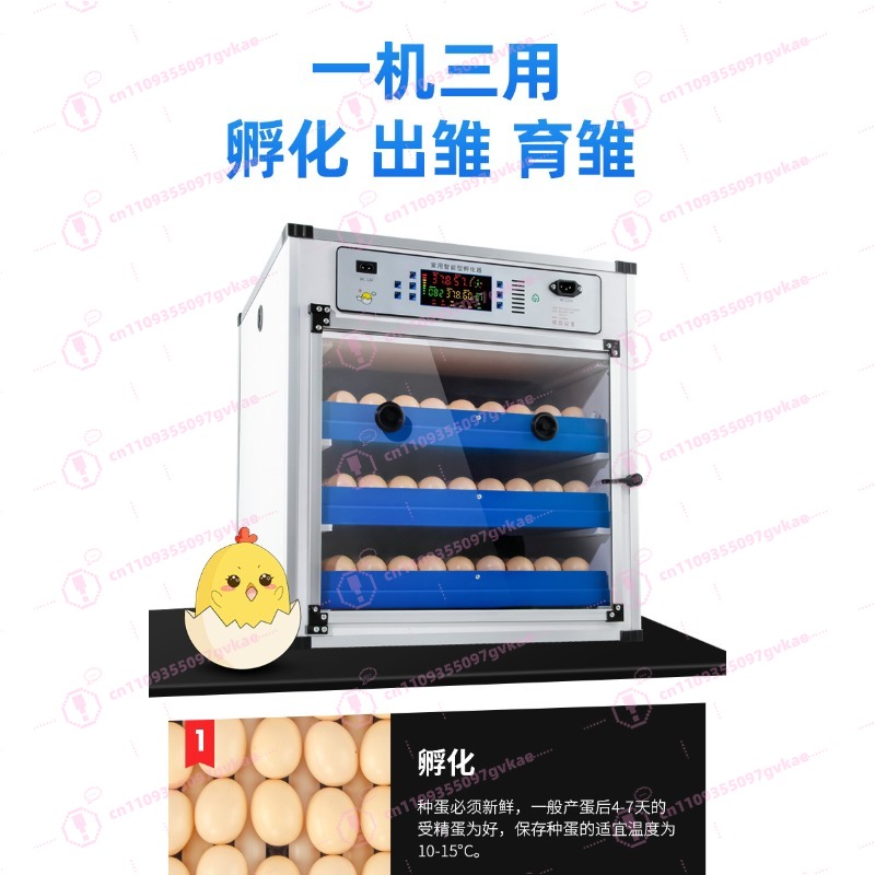 Portable Household Egg Incubat - Quail Egg Incubator ulasan dan harga