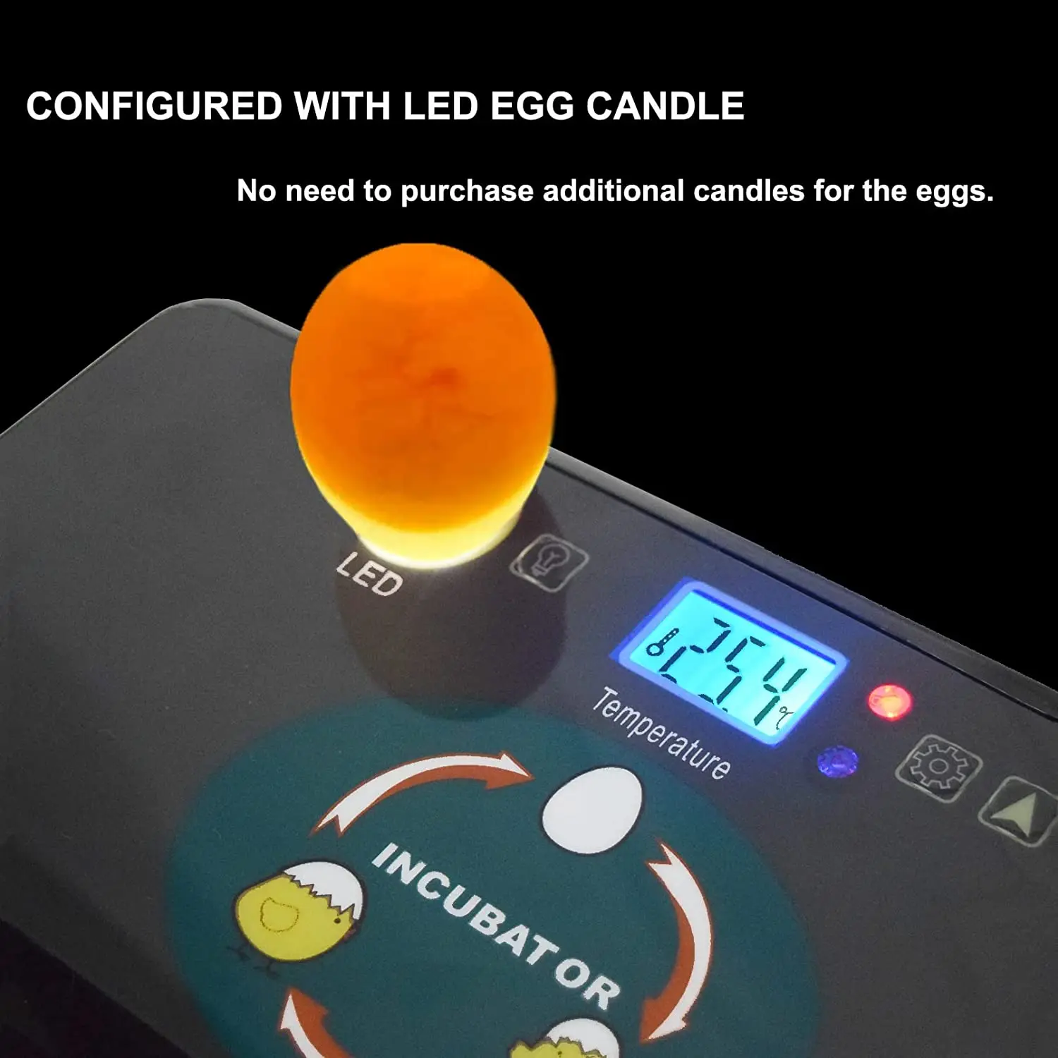 Automatic HHD Best Digital 12  - Quail Egg Incubator ulasan dan harga