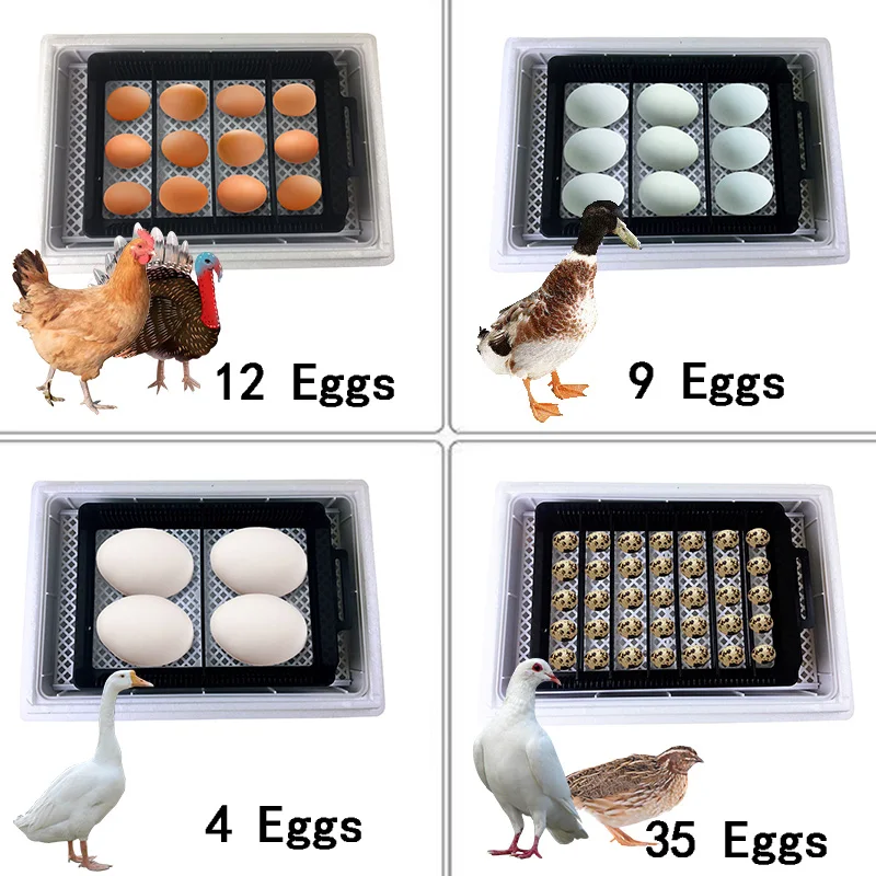 Automatic HHD Best Digital 12  - Quail Egg Incubator ulasan dan harga