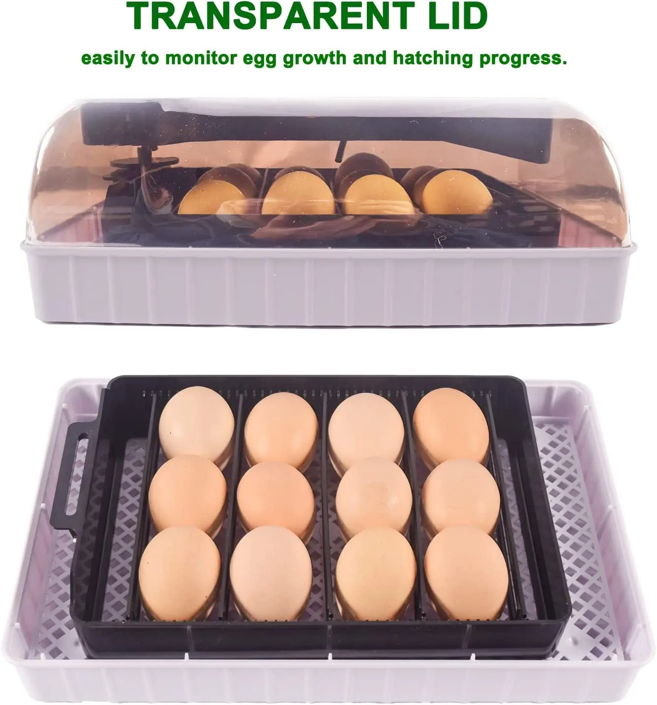 Automatic HHD Best Digital 12  - Quail Egg Incubator ulasan dan harga