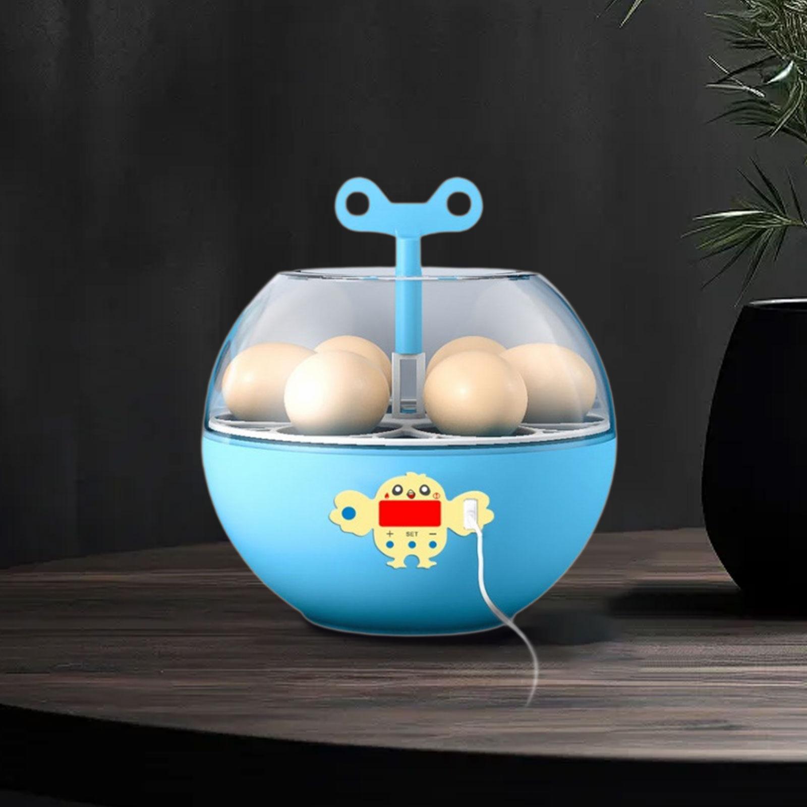 6 Eggs Incubator Mini Visible  - Quail Egg Incubator ulasan dan harga