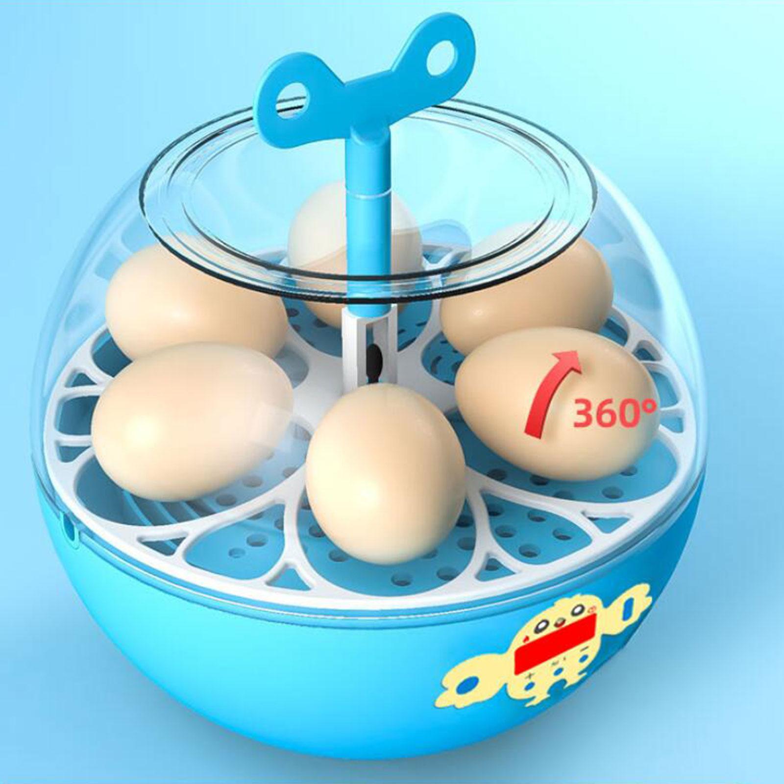 6 Eggs Incubator Mini Visible  - Quail Egg Incubator ulasan dan harga