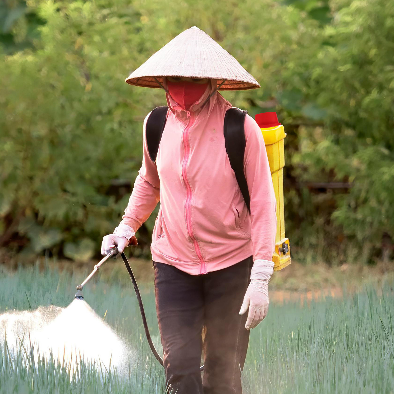 Agriculture Sprayer Parts Back - Crop Sprayer Backpack ulasan dan harga