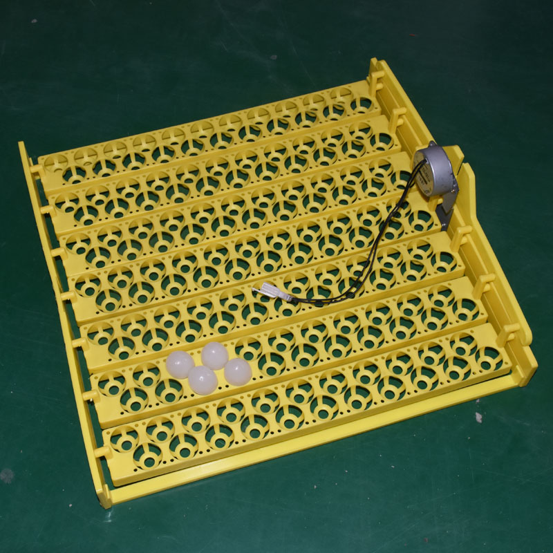 154 eggs quail brooding tools  - Quail Egg Incubator ulasan dan harga