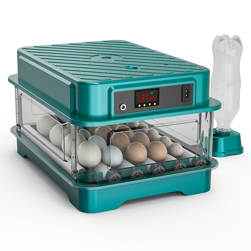 Fully Automatic  Chicken Quail - Quail Egg Incubator ulasan dan harga
