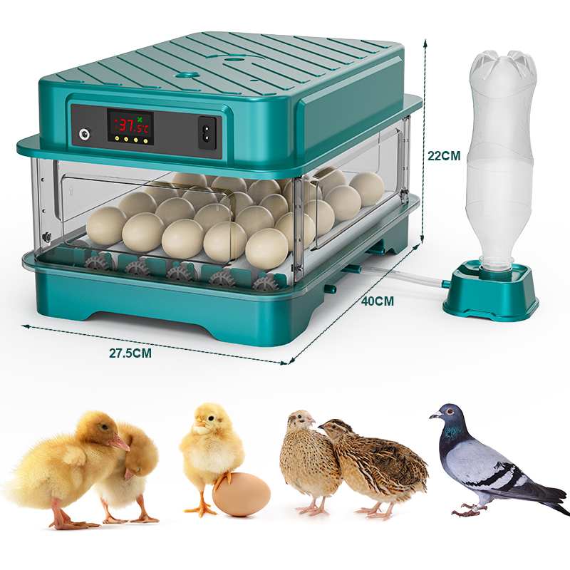 Fully Automatic  Chicken Quail - Quail Egg Incubator ulasan dan harga