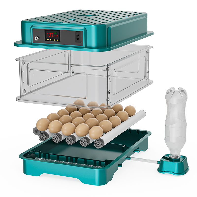 Fully Automatic  Chicken Quail - Quail Egg Incubator ulasan dan harga