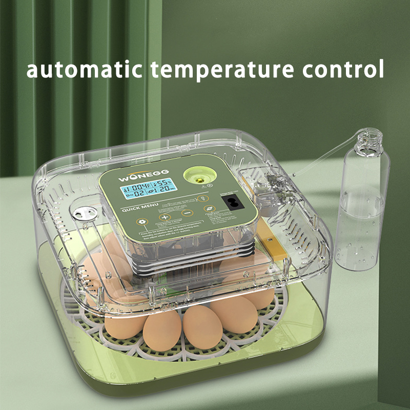 New 12 Chick egg Hatchery mach - Quail Egg Incubator ulasan dan harga