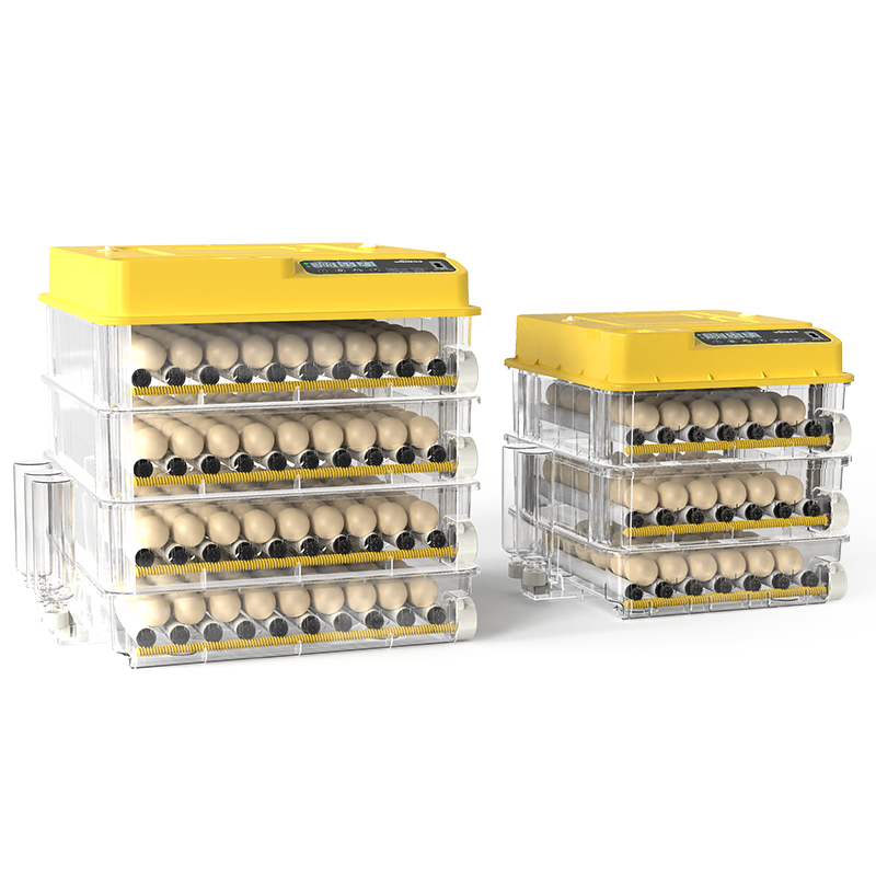WONEGG High Quality Automatic  - Quail Egg Incubator ulasan dan harga