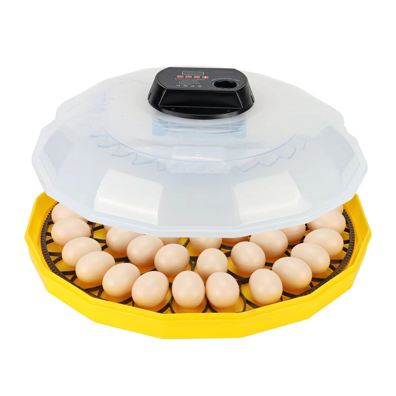 Mini Egg Incubator with 99% Ha - Quail Egg Incubator ulasan dan harga