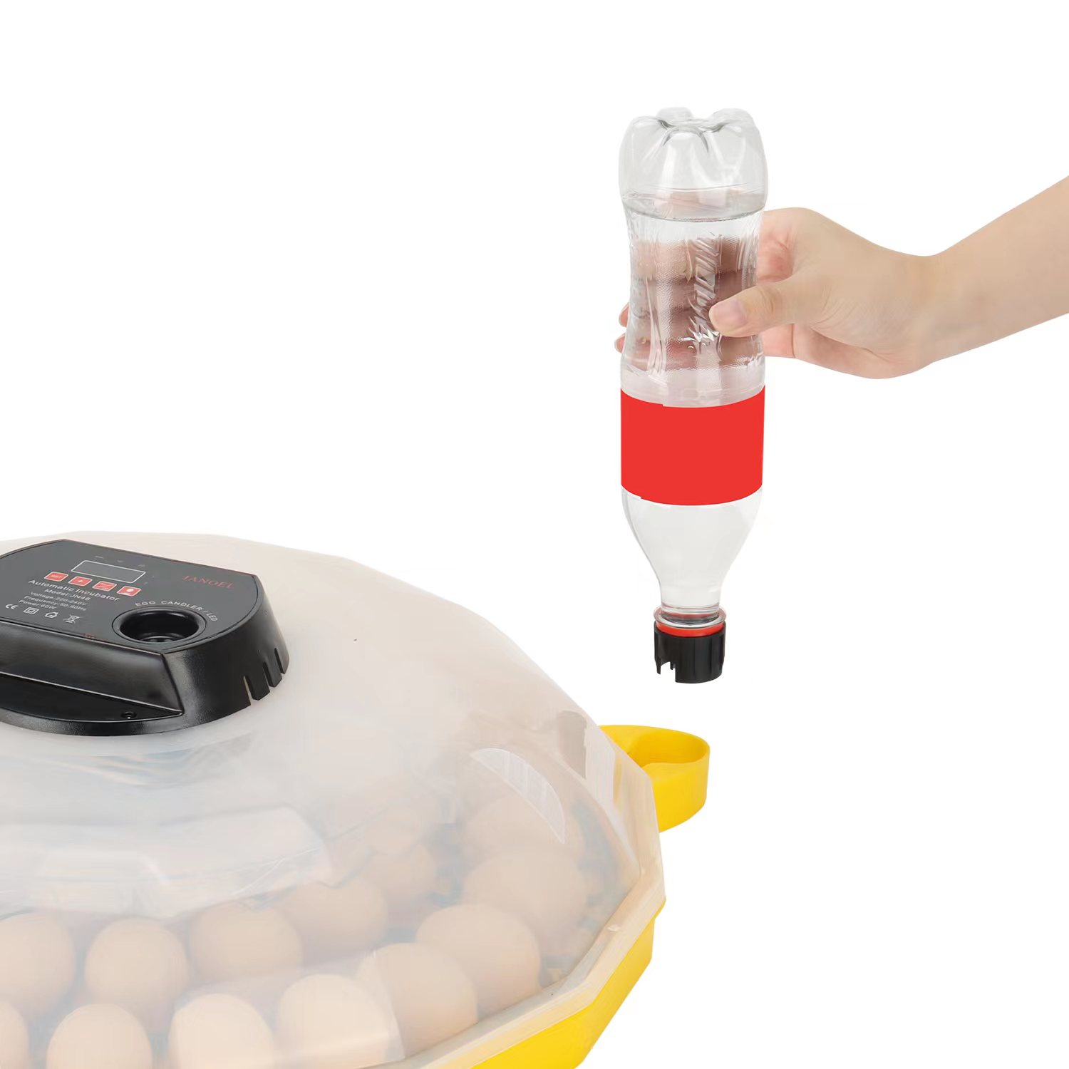 Mini Egg Incubator with 99% Ha - Quail Egg Incubator ulasan dan harga