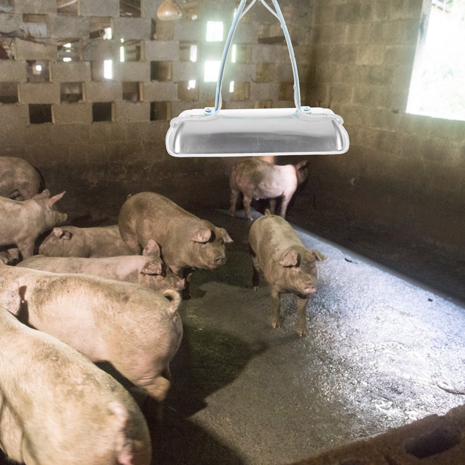 Pig Farm Heat Lamp Bulb E27 25 - Farming & Agriculture Word Stacks ulasan dan harga