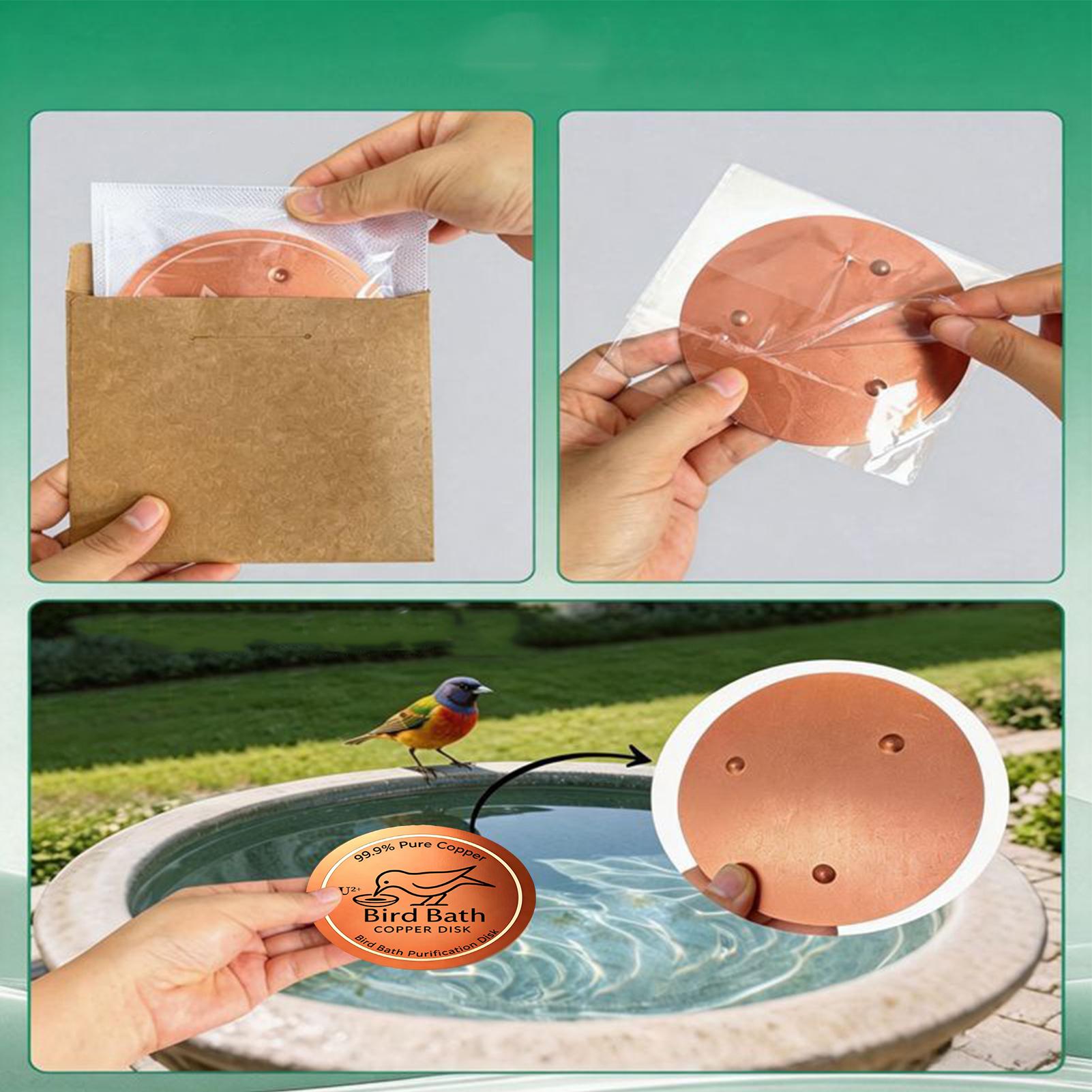 Bird Bath Copper Disc 0.6mm Th - Farming & Agriculture Word Stacks ulasan dan harga