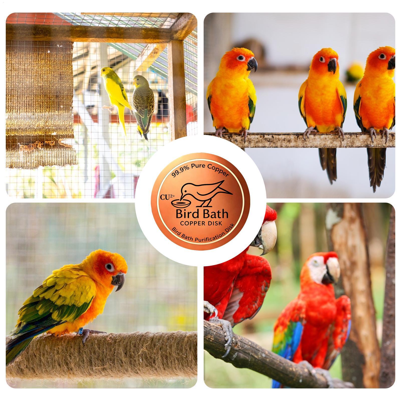 Bird Bath Copper Disc 0.6mm Th - Farming & Agriculture Word Stacks ulasan dan harga