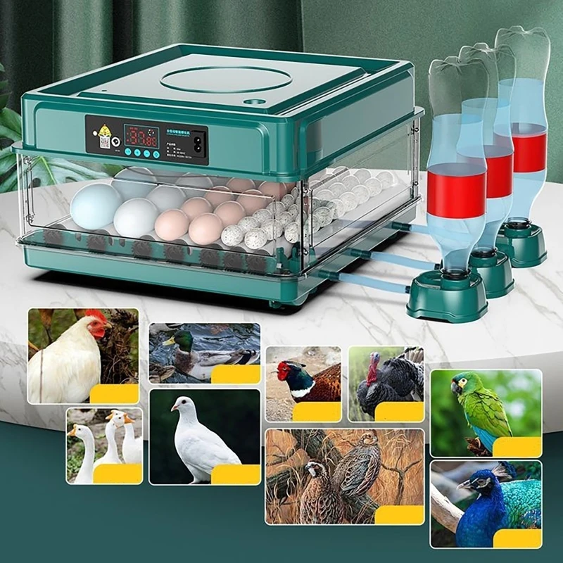 12 24 38 Eggs Incubator Auto T - Quail Egg Incubator ulasan dan harga