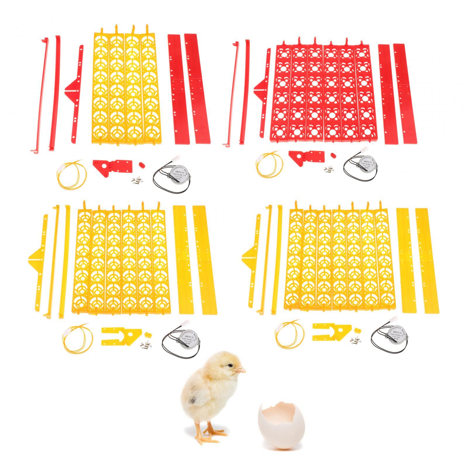 Egg Incubator Tray Plastic Aut - Quail Egg Incubator ulasan dan harga